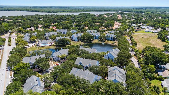3266 HAVILAND COURT 303, Palm Harbor, FL 34684