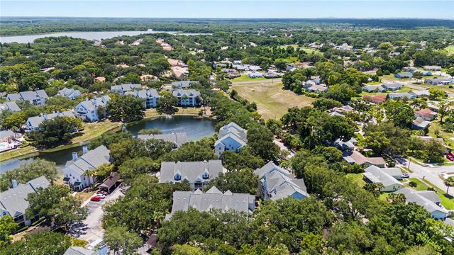 3266 HAVILAND COURT 303, Palm Harbor, FL 34684