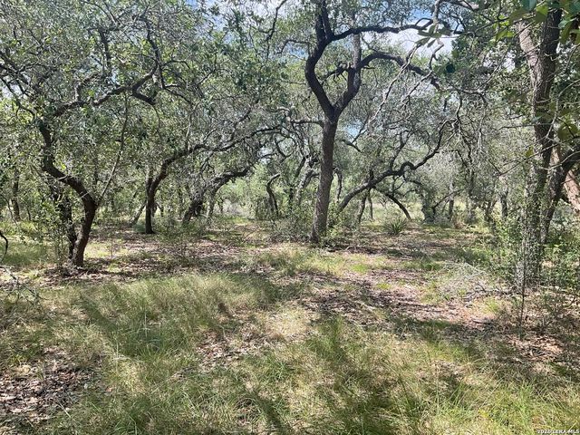 713 JOHANNA RIDGE RD, Bulverde, TX 78163