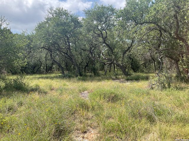 713 JOHANNA RIDGE RD, Bulverde, TX 78163