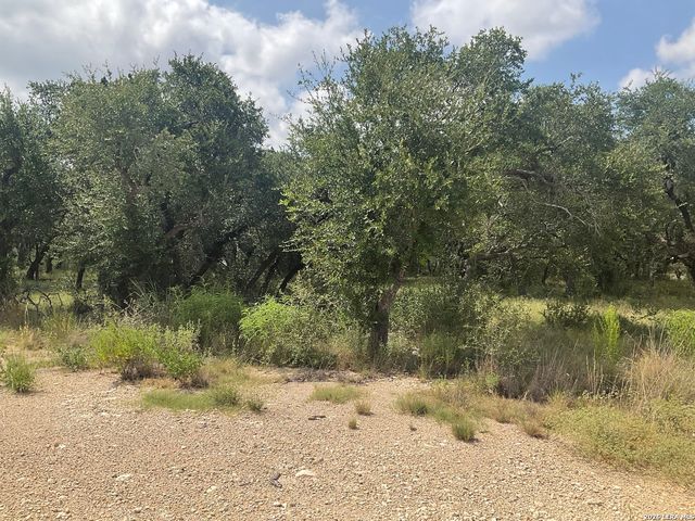 713 JOHANNA RIDGE RD, Bulverde, TX 78163