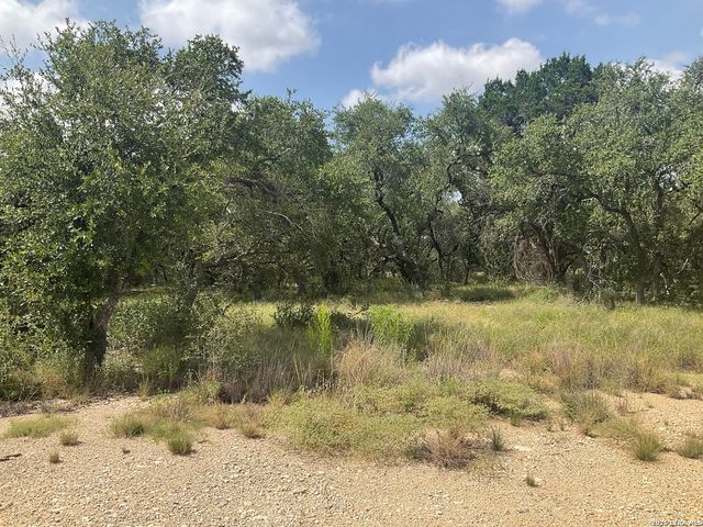 713 JOHANNA RIDGE RD, Bulverde, TX 78163