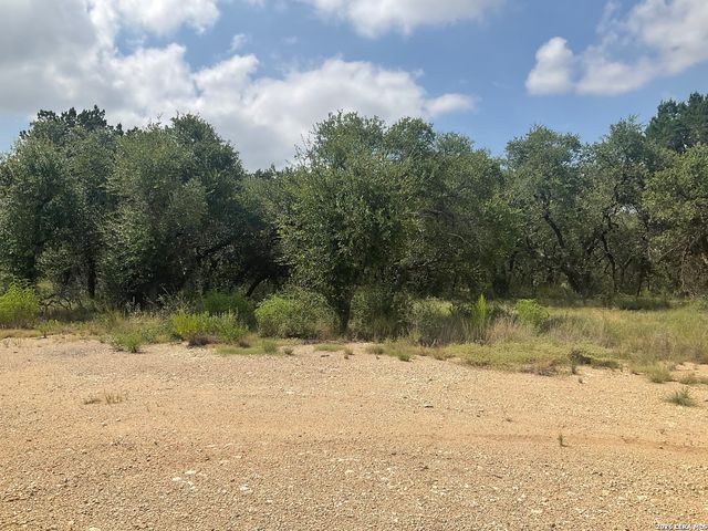 713 JOHANNA RIDGE RD, Bulverde, TX 78163