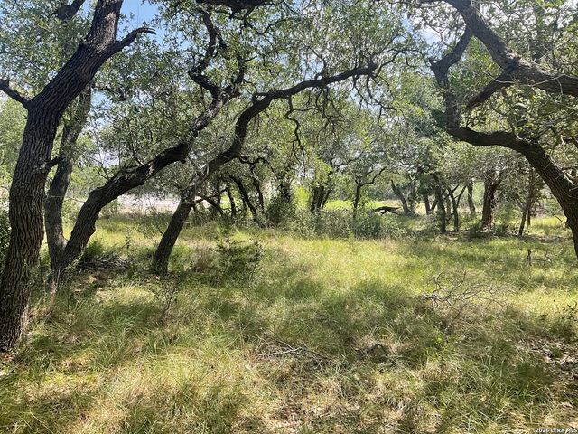 713 JOHANNA RIDGE RD, Bulverde, TX 78163