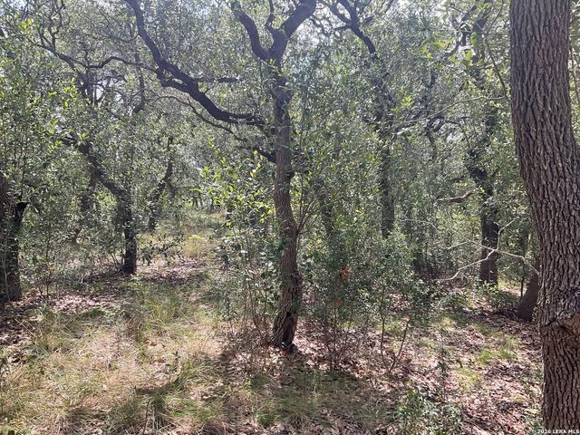 713 JOHANNA RIDGE RD, Bulverde, TX 78163