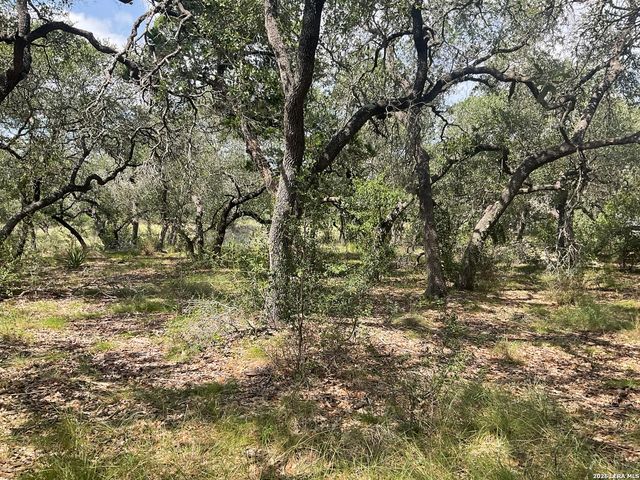 713 JOHANNA RIDGE RD, Bulverde, TX 78163