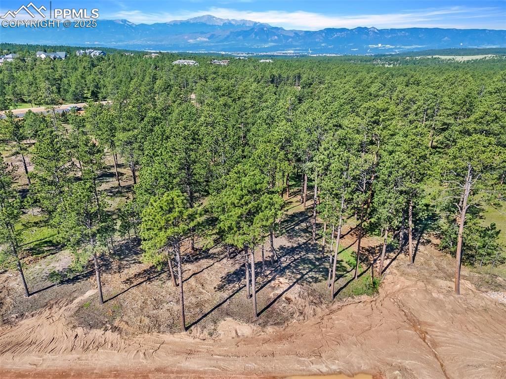14532 Quartz Creek Road, Colorado Springs, CO 80908