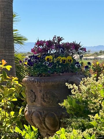 4596 Bersaglio Street, Las Vegas, NV 89135