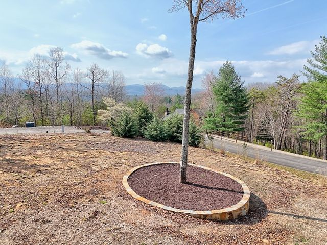 720 Meadow Brook Trail, Morganton, GA 30560