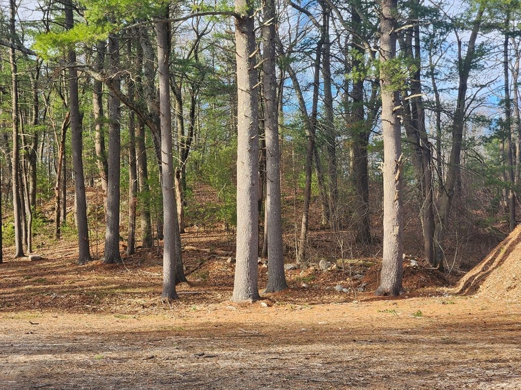 63 Farm Road Lot 5, Sherborn, MA 01770
