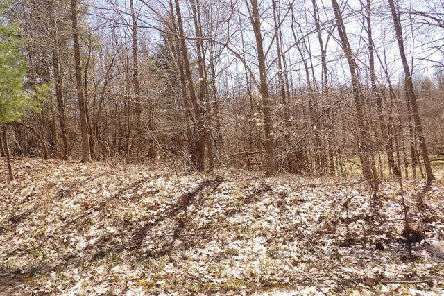 23042 Miramichi Drive, Chippewa Twp, MI 49631