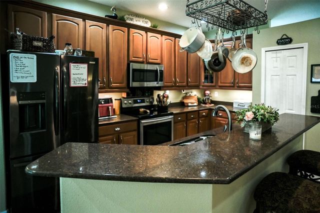 1169 EMERALD HILL WAY, Valrico, FL 33594
