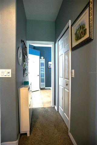 1169 EMERALD HILL WAY, Valrico, FL 33594