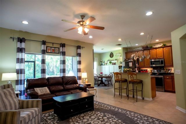 1169 EMERALD HILL WAY, Valrico, FL 33594