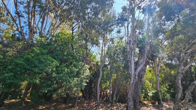 2412 Altisma Way D, Carlsbad, CA 92009