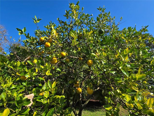 1639 FLOUNDER STREET, St Cloud, FL 34771