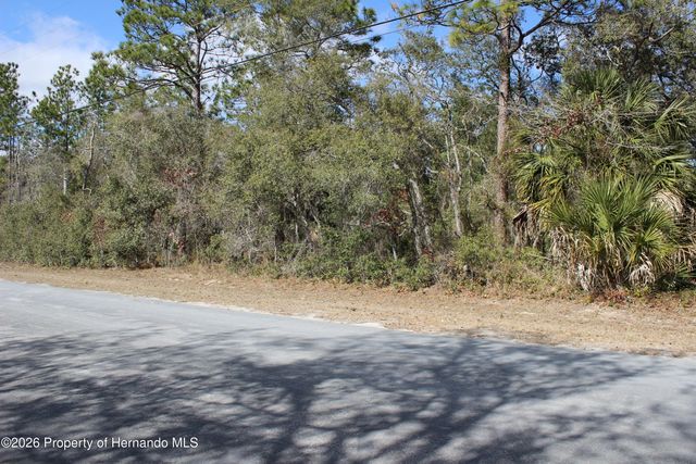 0 Quigley Avenue, Weeki Wachee, FL 34614