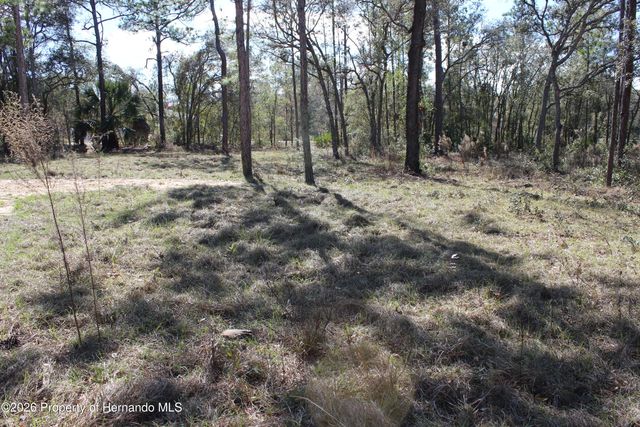 0 Quigley Avenue, Weeki Wachee, FL 34614