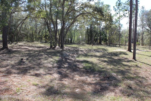 0 Quigley Avenue, Weeki Wachee, FL 34614