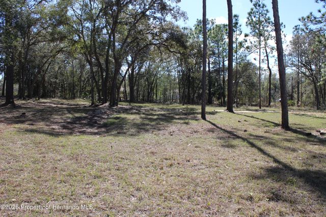 0 Quigley Avenue, Weeki Wachee, FL 34614