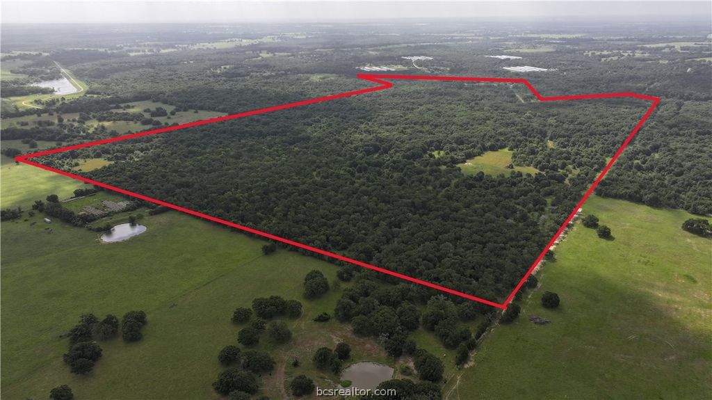 TBD Rose Hill Rd/Pleasant Hill Rd, Bremond, TX 77837 — exterior