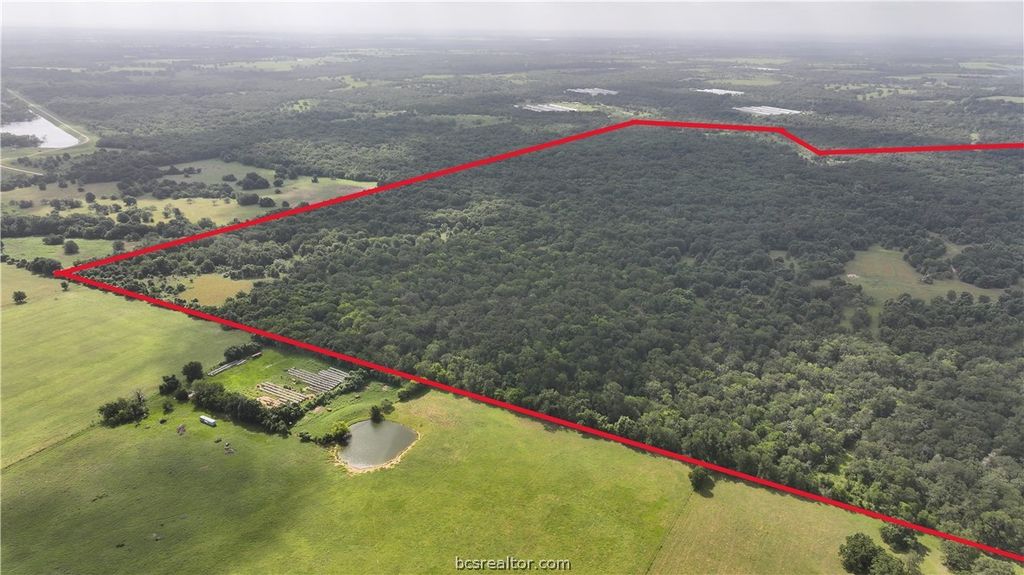 TBD Rose Hill Rd/Pleasant Hill Rd, Bremond, TX 77837 — photo 2
