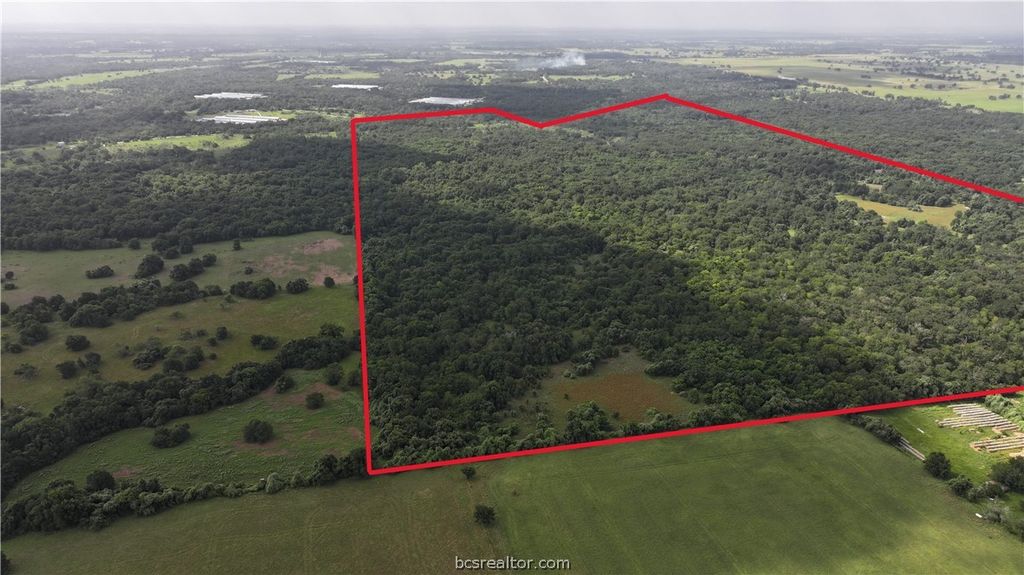 TBD Rose Hill Rd/Pleasant Hill Rd, Bremond, TX 77837 — photo 3