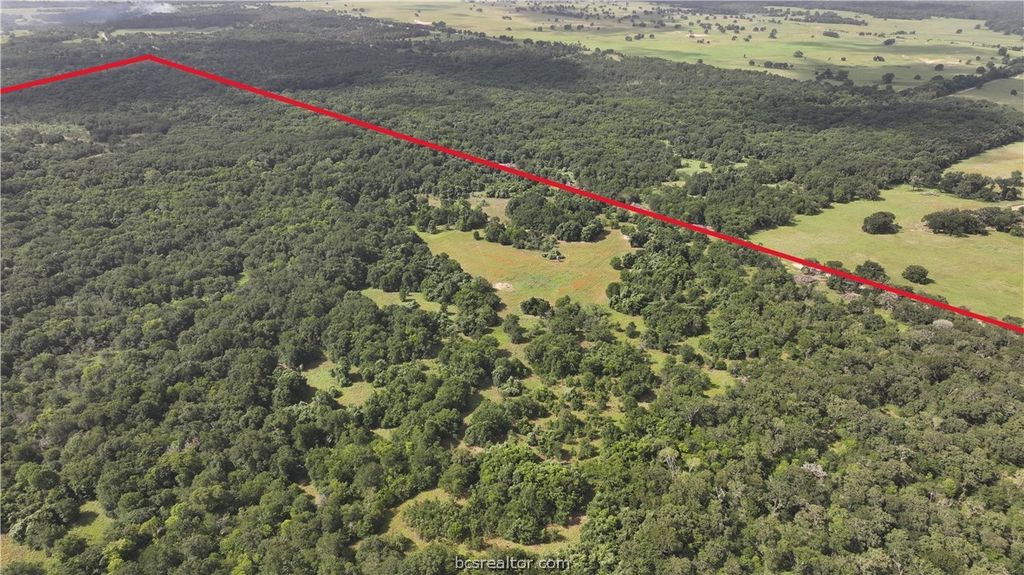 TBD Rose Hill Rd/Pleasant Hill Rd, Bremond, TX 77837 — photo 4