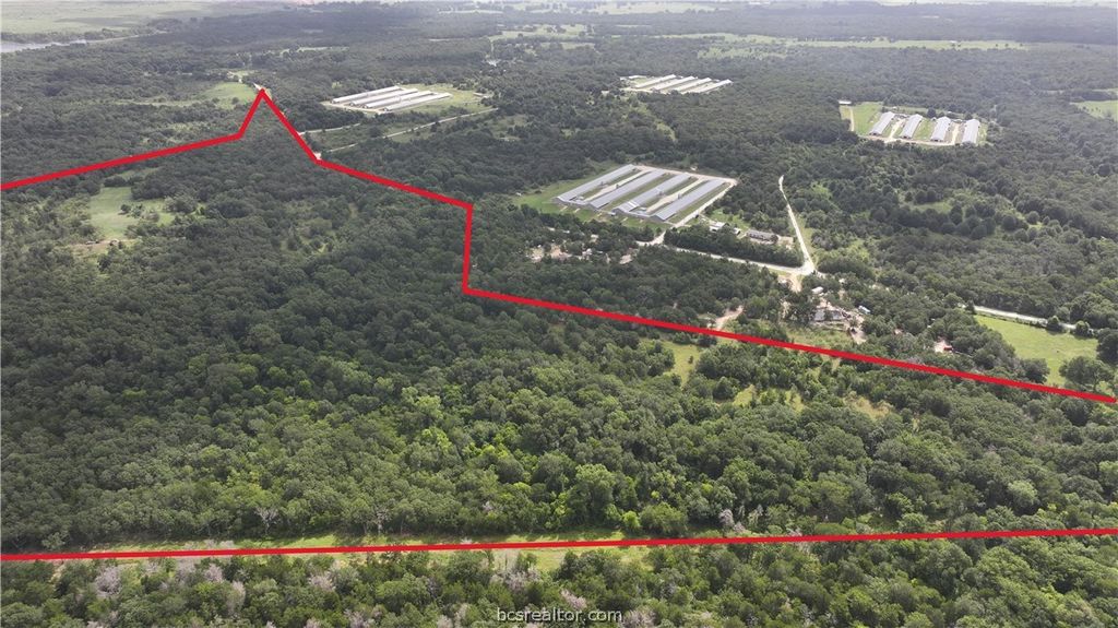 TBD Rose Hill Rd/Pleasant Hill Rd, Bremond, TX 77837 — photo 5