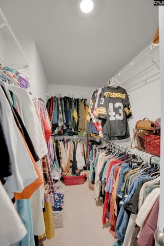 163 Summer Orchard Drive, Lexington, SC 29072