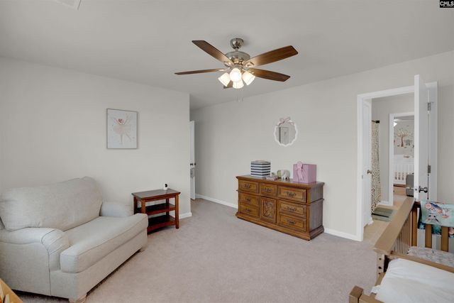 163 Summer Orchard Drive, Lexington, SC 29072