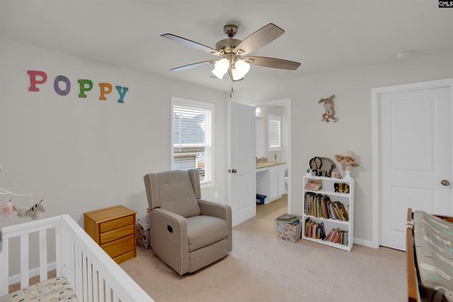 163 Summer Orchard Drive, Lexington, SC 29072