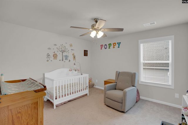 163 Summer Orchard Drive, Lexington, SC 29072