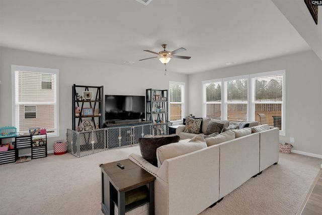 163 Summer Orchard Drive, Lexington, SC 29072