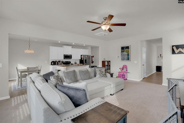 163 Summer Orchard Drive, Lexington, SC 29072