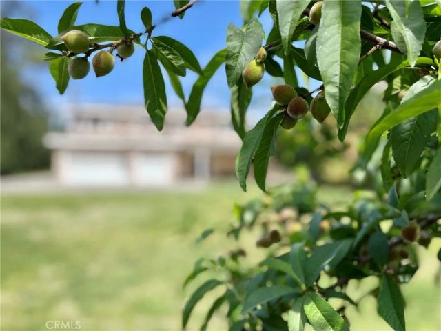 9942 Howland, Temple City, CA 91780