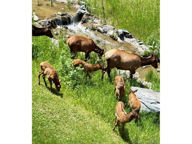 667 Trailside Rd, Golden, CO 80401