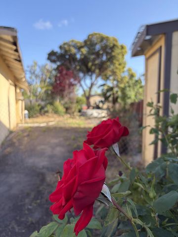 606 Vesper Avenue, Fremont, CA 94539