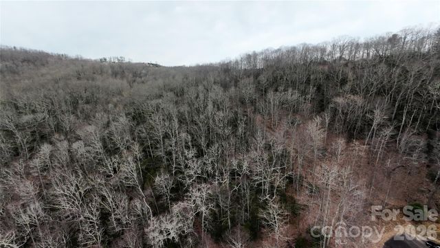 TBD Chardonnay Court 1, Newland, NC 28657
