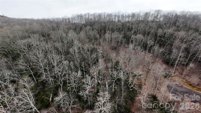 TBD Chardonnay Court 1, Newland, NC 28657