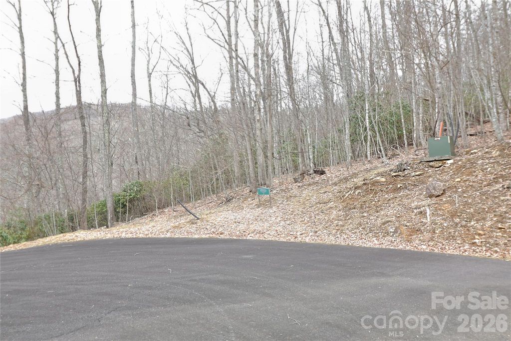 TBD Chardonnay Court 1, Newland, NC 28657