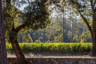 1050 White Cottage Rd N, Angwin, CA 94508