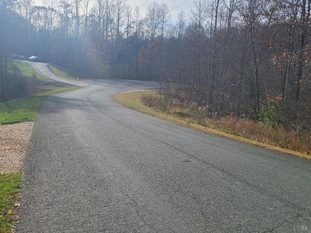 1231 Little Bear Lane, Spout Spring, VA 24593