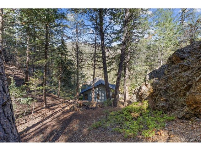 76 Wheel Haven Rd, Idaho Springs, CO 80452