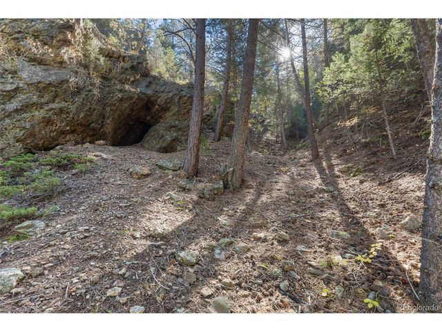 76 Wheel Haven Rd, Idaho Springs, CO 80452