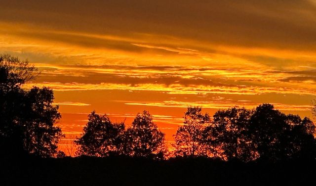 144B Leo Carter Rd, Bethpage, TN 37022