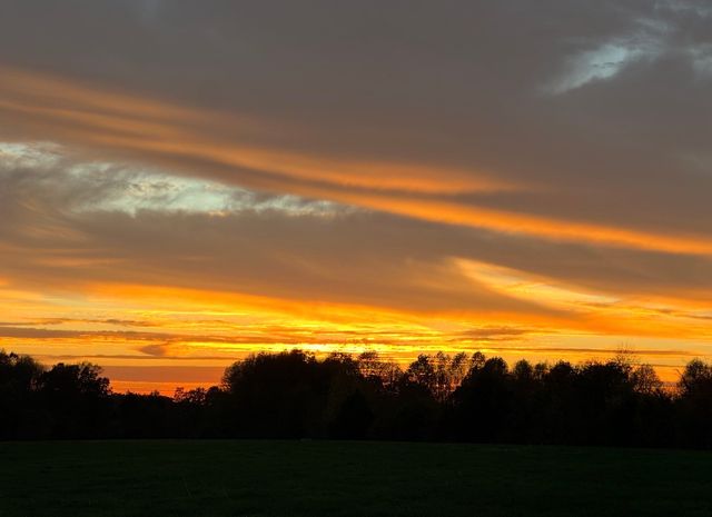 144B Leo Carter Rd, Bethpage, TN 37022