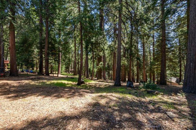 6480 Granite Trl, Pollock Pines, CA 95726