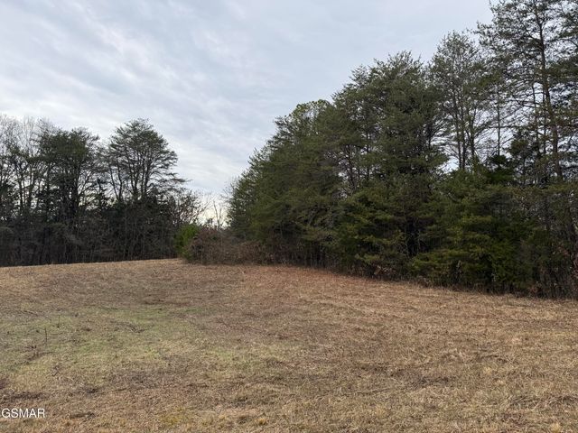 0 Off Allen Chapel Road, Parrottsville, TN 37843