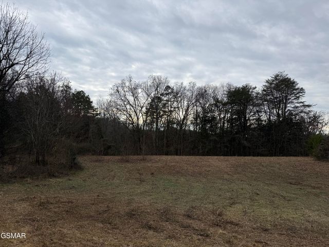 0 Off Allen Chapel Road, Parrottsville, TN 37843
